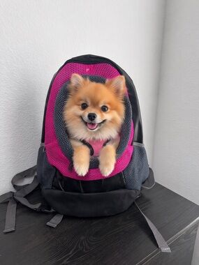 Comfortable Pink and Gray Pet Carrier Backpack for Small Dogs